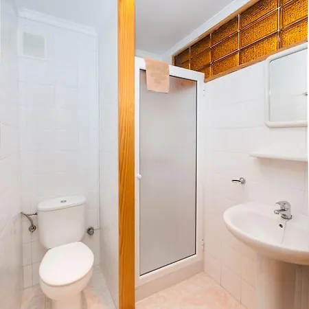 Apartment Strelitzias